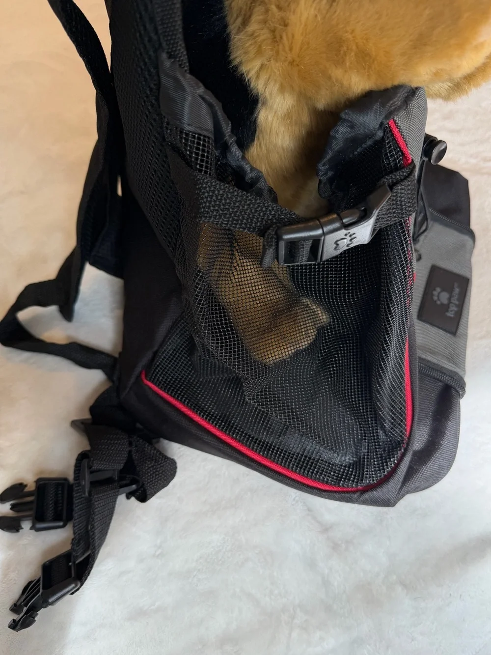 Top Paw Small Gray/Black Pet Travel Carrier Tote